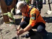 Upaya Kodim Tasikmalaya Cegah Abrasi Pantai, Tanam 1.500 Pohon Mangrove IMG_20230306_212542_hmSqSSS29B_X91LScoy4u.jpeg