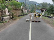 Jalan Status Kabupaten di Sukawening Ciamis Amblas Jalan-Status-Kabupaten-di-Sukawening-Ciamis-Amblas.jpg