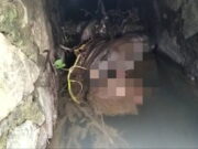 Jenazah Pensiunan Polisi yang Ditemukan Mengambang di Gorong-Gorong Tasikmalaya Bakal Diotopsi Jenazah-pensiunan-polisi-ditemukan-mengambang-dalam-gorong-gorong-di-Tasikmalaya.jpg
