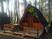 Kolong Langit Coffee Camp Garut, Camping Sambil Ngopi di Hutan Pinus Kolong-Langit-Coffee-Camp-Garut-Camping-Sambil-Ngopi-di-Hutan-Pinus.jpg