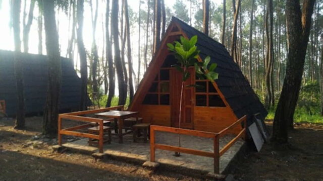 Kolong-Langit-Coffee-Camp-Garut-Camping-Sambil-Ngopi-di-Hutan-Pinus.jpg