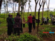Ratusan Massa Duduki Perkebunan PTPN VIII Batulawang, Ada Apa? Pasir-Kolotok.jpg