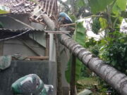 Hujan Angin, Pohon Kelapa Tumbang dan Timpa Rumah di Purwadadi Ciamis Pohon-Kelapa-Tumbang-dan-Timpa-Rumah-di-Purwadadi-Ciamis.jpg