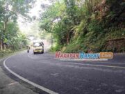 Cerita Horor Tanjakan Alinayin di Ciamis yang Rawan Kecelakaan Selain-Rawan-Kecelakaan-Tanjakan-Alinayin-di-Ciamis-Ternyata-Punya-Cerita-Horor.jpg