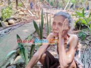 Seorang Cucu di Pangandaran Diduga Bakar Rumah Neneknya sampai Ludes Seorang-Cucu-di-Pangandaran-Diduga-Bakar-Rumah-Neneknya-sampai-Ludes.jpg