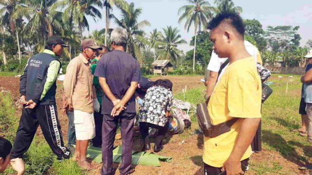 Seorang-Petani-di-Tasikmalaya-Meninggal-di-Sawah.jpg