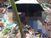 Tengkorak Kepala Berpayung Hitam di Bogor Bikin Geger, Polisi Olah TKP Tengkorak-Kepala-Berpayung-Hitam-di-Bogor.jpg