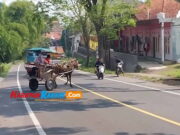 Dianggap Bikin Macet, Delman Garut Dilarang Beroperasi di Jalur Mudik Delman-Dilarang-Beroprasi-di-Garut.jpg
