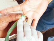 Cincin Nyangkut hingga Jari Bengkak, Warga Sukadana Ciamis Lapor Damkar IMG_20230422_212025_RXJodrnM3a_9SX7mEdb1d.jpeg