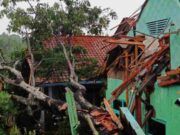 Dua Rumah di Sadananya Ciamis Hancur Tertimpa Pohon Tumbang IMG_20230424_202724_gdmfJYwo8X_eoDWWqIs5m.jpeg