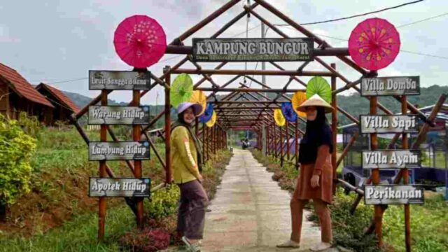 Kampung-Bungur.jpg