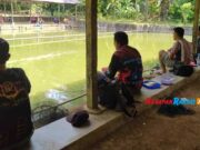 Pemudik Berdatangan, Sejumlah Kolam Pemancingan di Ciamis Dipenuhi Pemancing Kolam-Pemancingan.jpg