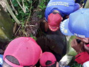Terus Menggonggong dan Resahkan Warga, Damkar Ciamis Evakuasi Anjing dari Sumur Terus-Menggonggong-dan-Resahkan-Warga-Damkar-Ciamis-Evakuasi-Anjing-dari-Sumur.jpg