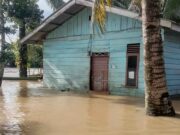 Dua Kabupaten di Provinsi Aceh Terendam Banjir Luapan Sungai Kluet Banjir-di-Aceh.jpeg