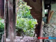 Diduga Lapuk, Rumah Warga Desa Pasawahan Ciamis Tiba-tiba Ambruk Diduga-Lapuk-Rumah-Warga-Desa-Pasawahan-Ciamis-Tiba-tiba-Ambruk.jpg
