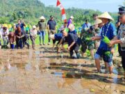 Inovasi Anjani Merakit Gamis, Ajarkan Anak di Ciamis Bertani Sejak Dini IMG_20230519_185050_toOKrcrH3X_VvHxFM7Q4u.jpeg