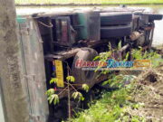 Mobil Truk Oleng dan Terjerembab ke Sawah di Kertahayu Ciamis Mobil-Truk-Oleng-dan-Terjerembab-ke-Sawah-di-Kertahayu-Ciamis.jpg
