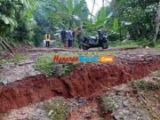 Sebelum Terjadi Pergerakan Tanah, Warga Kelewih Ciamis Lihat Kawanan Monyet Pergerakan-Tanah-di-Kelewih-Ciamis.jpg