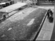 Terekam CCTV, Seorang Pria Berpeci Diduga Maling Motor di Unigal Ciamis Pria-Berpeci-diduga-maling-motor.jpeg