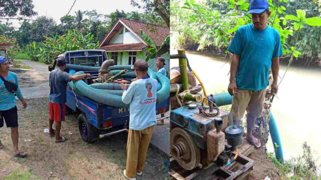 Puluhan-Hektar-Sawah-Dilanda-Kekeringan-Petani-di-Buniasih-Ciamis-Lakukan-Ini.jpg