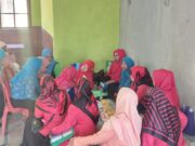 Desa Mekarjaya Mewakili Kabupaten Subang Dalam Perlombaan P2WKSS Tingkat Jawa Barat Desa Mekarjaya Mewakili Kabupaten Subang Dalam Perlombaan P2WKSS Tingkat Jawa Barat