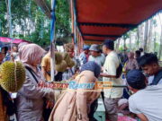 Festival Durian Lokal Khas Bangunkarya Pangandaran Diharapkan Mampu Dongkrak Ekonomi Masyarakat Festival-Durian-Lokal-Khas-Bangunkarya-Pangandaran-Diharapkan-Mampu-Dongkrak-Ekonomi-Masyarakat.jpg