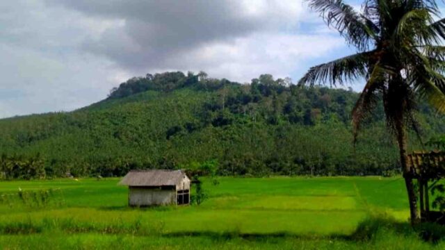 Gunung-Sangkur.jpg