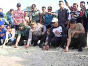 Peringati Hari Laut Sedunia di Pangandaran, Lepas Tukik dan Tanam Terumbu Karang IMG-20230608-WA0069.jpg