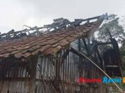 Kandang Milik Warga di Bangbayang Ciamis Terbakar, 250 Anak Ayam Hangus Kandang-Milik-Warga-di-Bangbayang-Ciamis-Terbakar-250-Anak-Ayam-Hangus.jpg