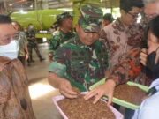Pangdam I/BB Harapkan Perusahaan Tembakau Putih STTC Serap Banyak Tenaga Kerja Pangdam-I-BB-Harapkan-Perusahaan-Tembakau-Putih-STTC-Serap-Banyak-Tenaga-Kerja.jpeg