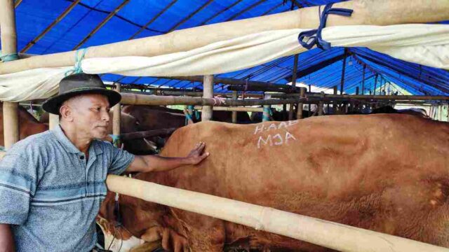 Penjual-Sapi-di-Tasik.jpg