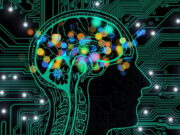 Akhiri Perdebatan tentang Risiko Teknologi AI bagi Perusahaan Anda artificial-intelligence-g178332cc5_640.jpg