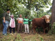 Sumbangan Iduladha: Grab Indonesia Salurkan 1 Ton Sapi Kurban dan Ratusan Kambing Foto-1-Perwakilan-Mitra-Pengemudi-bersama-perwakilan-manajemen-Grab-Indonesia-dengan-Sapi-Kurban-Seberat-1-Ton.jpg