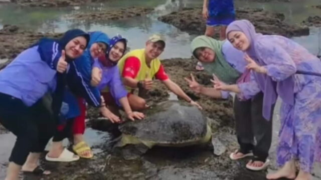 Ibu-Ibu-lepas-penyu-hijau-di-Pantai-Sindangkerta-Tasikmalaya.jpg