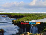 Pengunjung Sepi, Pelaku Usaha Wisata Pantai Karapyak Pangandaran Mengeluh Tarif Masuk Pelaku-Usaha-Wisata-Pantai-Karapyak.jpg