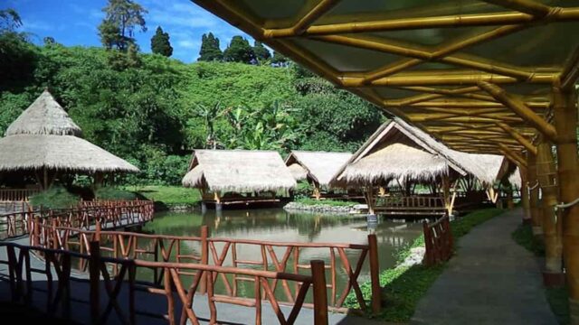 Restoran-Keluarga-di-Depok-dengan-Sajian-Lezat-dan-Nuansa-Asri-6.jpg