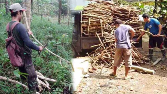 Tradisi-Ngala-Suluh-di-Cigadung.jpg