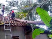 Atap Rumah Guru Ngaji di Banjaranyar Ciamis Rusak Tertimpa Pohon Kelapa rumah-guru-ngaji.jpeg