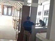 Seekor Monyet Besar Berkeliaran di RSUD Ciamis seekor-monyet-besar.jpeg