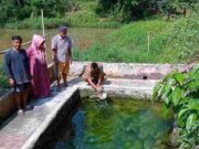 Cerita Sumur Gadog Karangkamulyan Ciamis Tempat Ritual Turun Mandi Sunat sumur-Gadog-karangkamulyan.jpeg