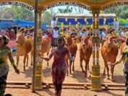 Festival Budaya Sapi Sonok Madura, Pupuk Indonesia Gelar One Day Promotion Festival-Budaya-Sapi-Sonok-Madura.jpeg