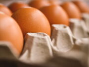 Harga Telur di Cipaku Ciamis Melambung Tinggi Harga-Telur-di-Cipaku-Ciamis.jpg