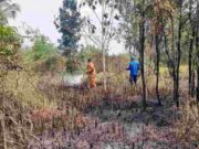 Duh! Kebakaran Lahan di Kota Banjar Kembali Terjadi, Diduga Faktor Manusia Kebakaran-Lahan-di-Kota-Banjar-Kembali-Terjadi-1.jpg