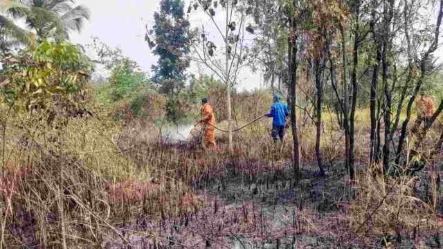 Kebakaran-Lahan-di-Kota-Banjar-Kembali-Terjadi-1.jpg