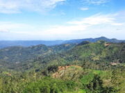 Misteri Gunung Sadakeling Garut, Ada Ular dan Macan yang Bikin Merinding Kisah-Misteri-di-Gunung-Sadakeling-Garut.jpg