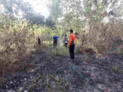 Lahan Milik PLN 3 Kali Terbakar, Pemdes Binangun Banjar Sarankan Digarap Warga Lahan-Milik-PLN.jpg
