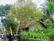 Tidak Ada Sosialisasi, Pemasangan Kabel Jaringan Internet di Langkaplancar Pangandaran Disoal Warga Pemasangan-Kabel-Jaringan-Internet-di-Langkaplancar-Pangandaran-Disoal-Warga.jpg
