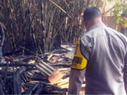 Lagi, Sebuah Rumah di Garut Ludes Terbakar Diduga Akibat Pembakaran Sampah Pembakaran-Sampah.jpg