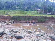 Tradisi Ngubek di Langkaplancar Pangandaran, Cara Unik Warga Nikmati Musim Kemarau Tradisi-Ngubek.jpg