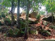 Legenda Lutung Kasarung Ternyata Ada di Ciamis, Ini Ceritanya cerita-lutung-kasarung.jpeg